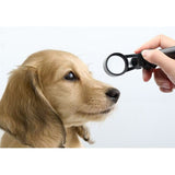 portable slit lamp