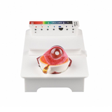 Optical Spectrum Analyzers