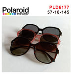 Sunglass PLD6177