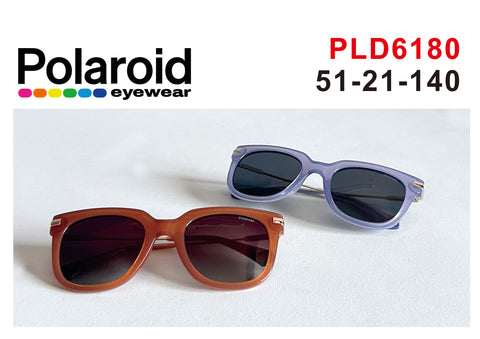 Sunglass PLD6180